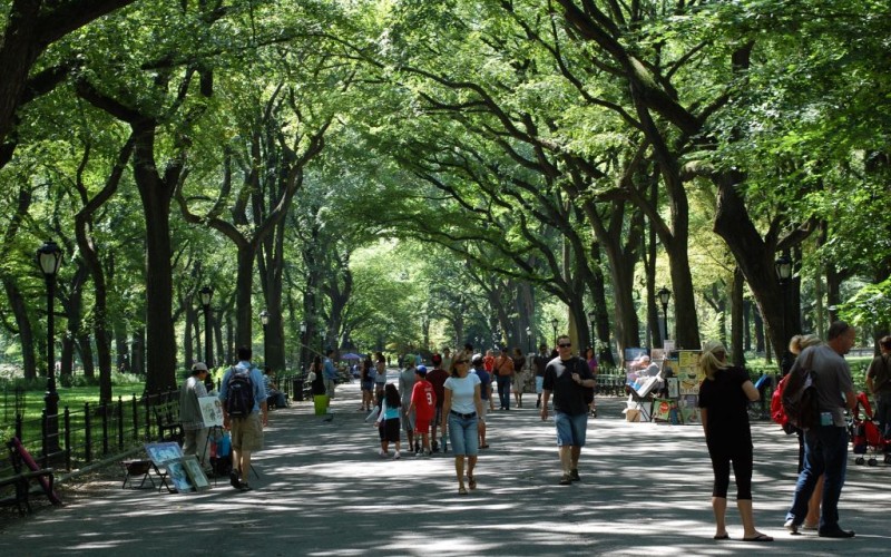 Top 5: Ways to Experience Nature in New York City