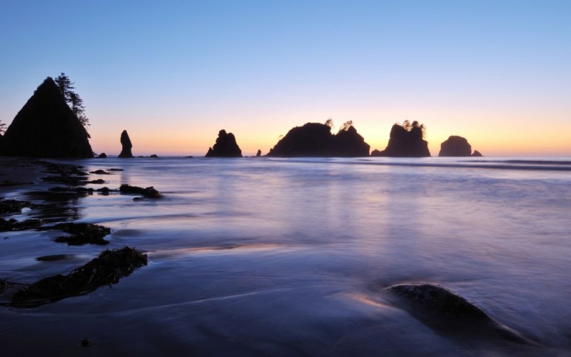 Top 5: Pacific Ocean Beaches in Washington State