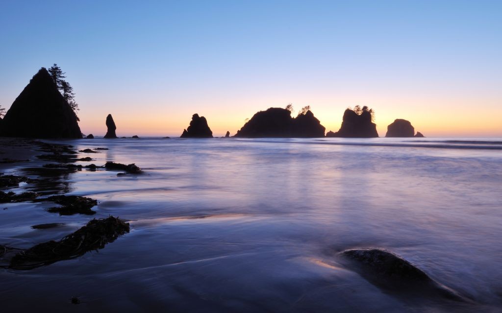 Top 5 Pacific Ocean Beaches In Washington State