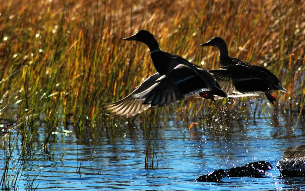 Sebago Lake, Maine © Joseph Skolnik | Dreamstime 5204371