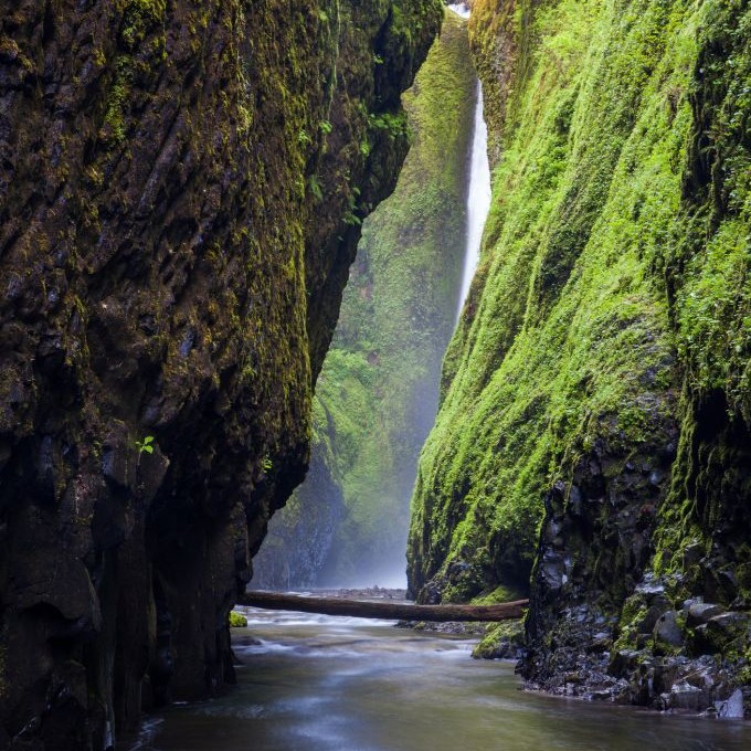 Oneonta Gorge, Oregon © Kan1234 | Dreamstime 51133395