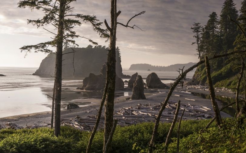 Ruby Beach, Olympic National Park, Washington State © Jason Kolenda | Dreamstime 31907772