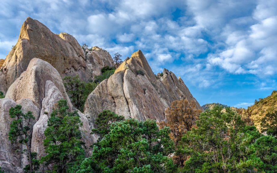Trazee Travel | Top 5: Hiking Trails in the Angeles National Forest ...