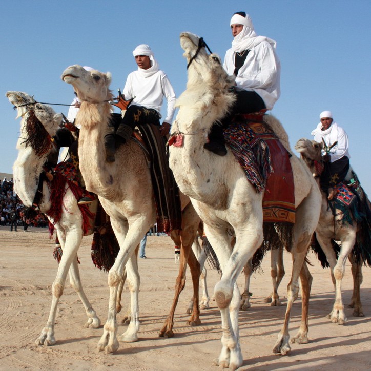 The International Festival of the Sahara, Douz, Tunisia © Magharebia | Flickr