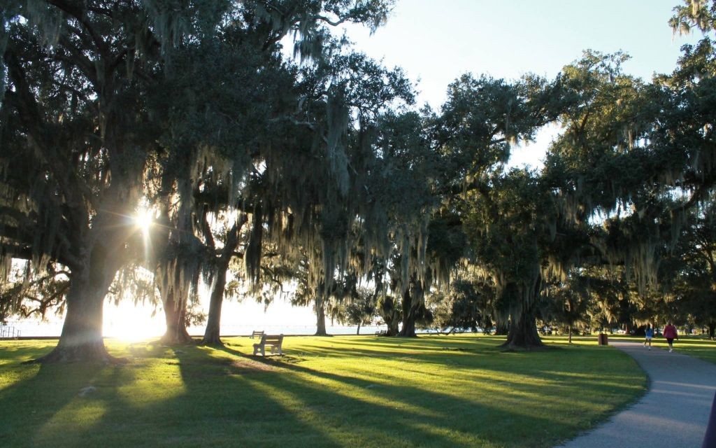 St. Tammany Trace, Madisonville, Louisiana © Saint Tammany | Flickr