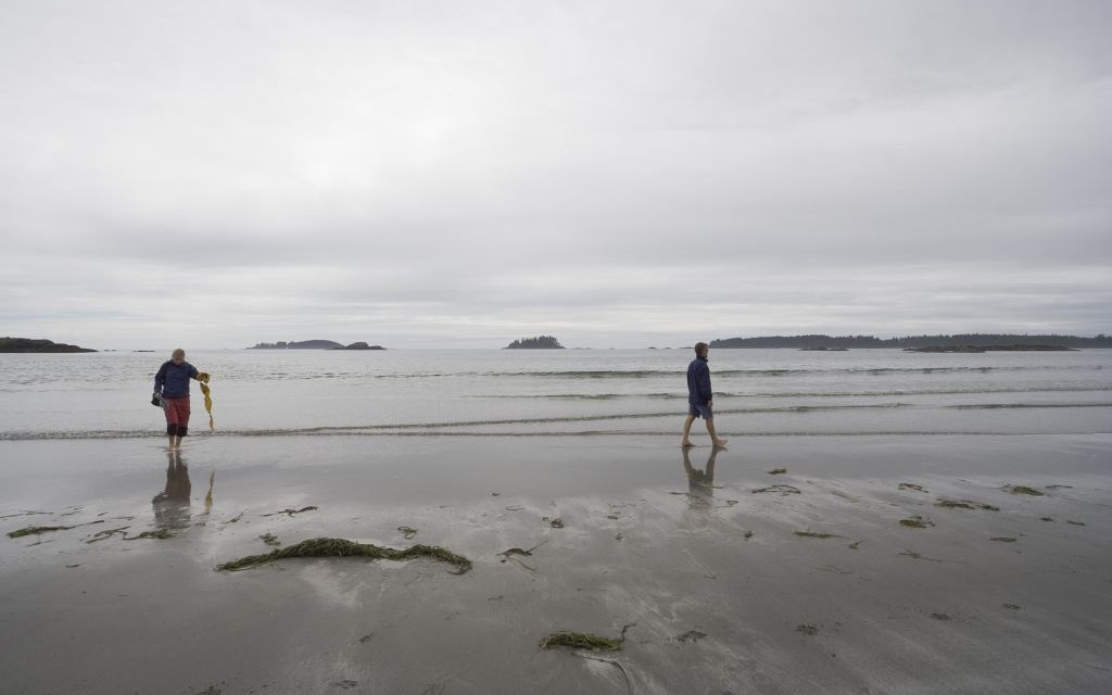 Pacific Rim National Park, British Columbia, Canada © Riekefoto | Dreamstime