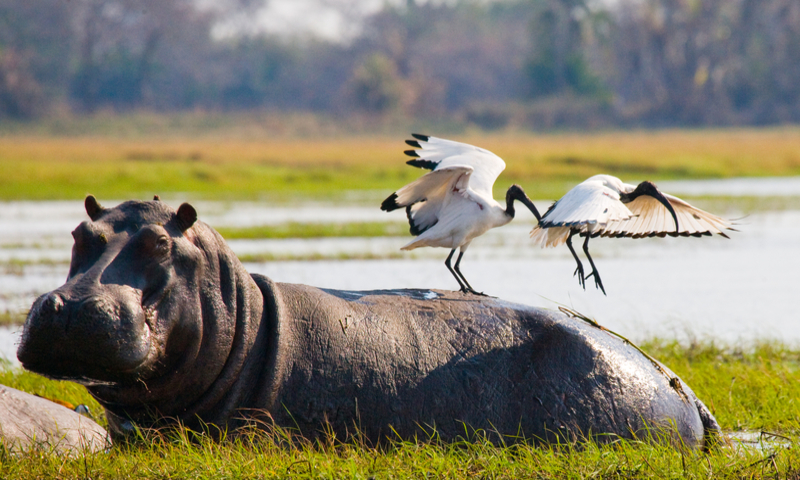 Botswana