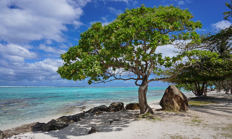 French Polynesia Island