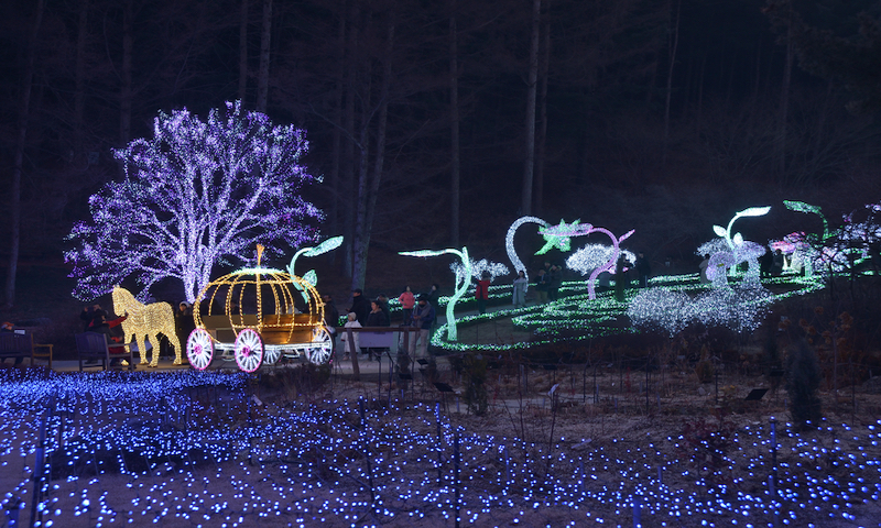 light festival in South Korea