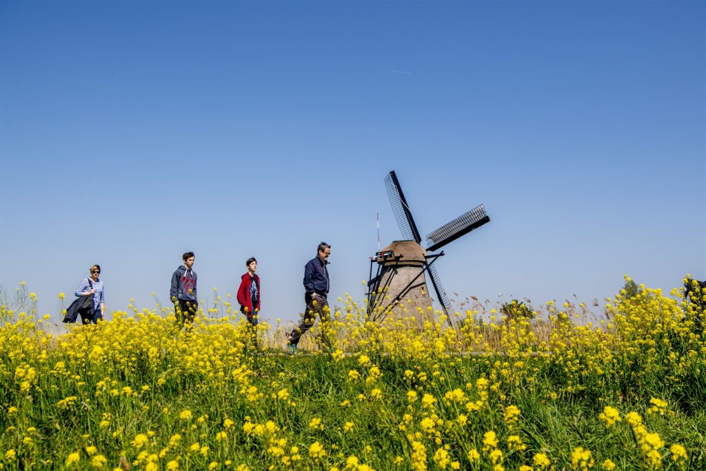 Kinderdijk 