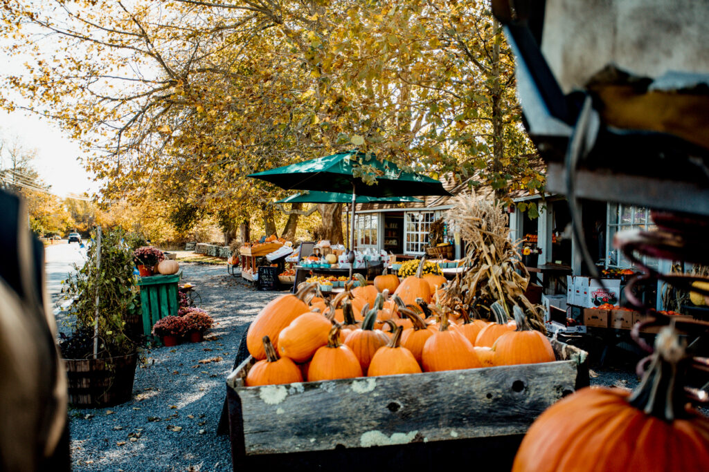 How to Celebrate Halloween in Newport, Rhode Island Trazee Travel