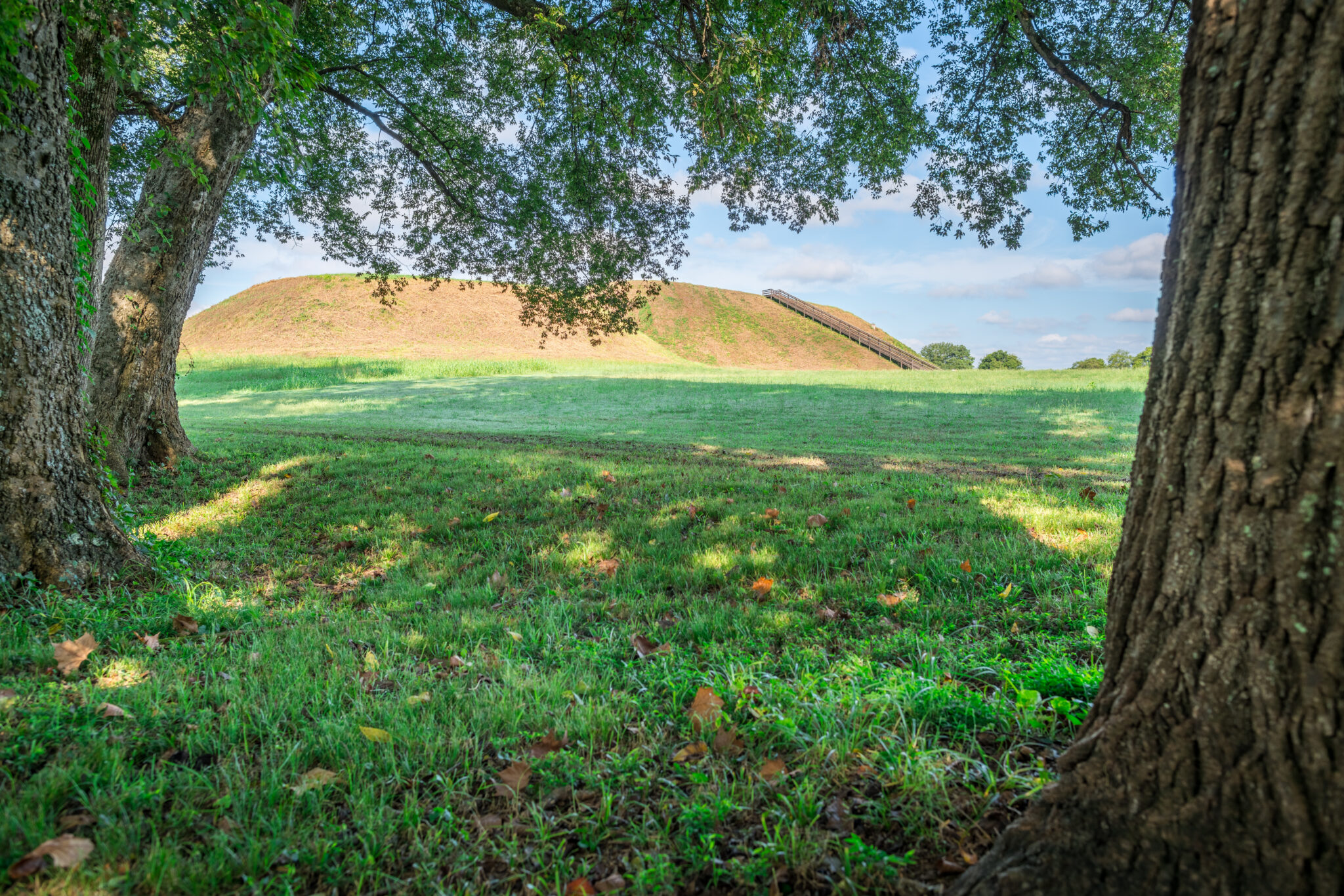 explore-cartersville-georgia-s-indigenous-history-trazee-travel