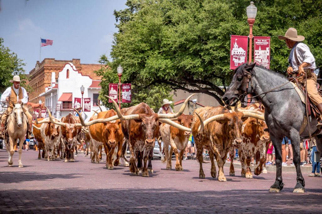 Stockyards