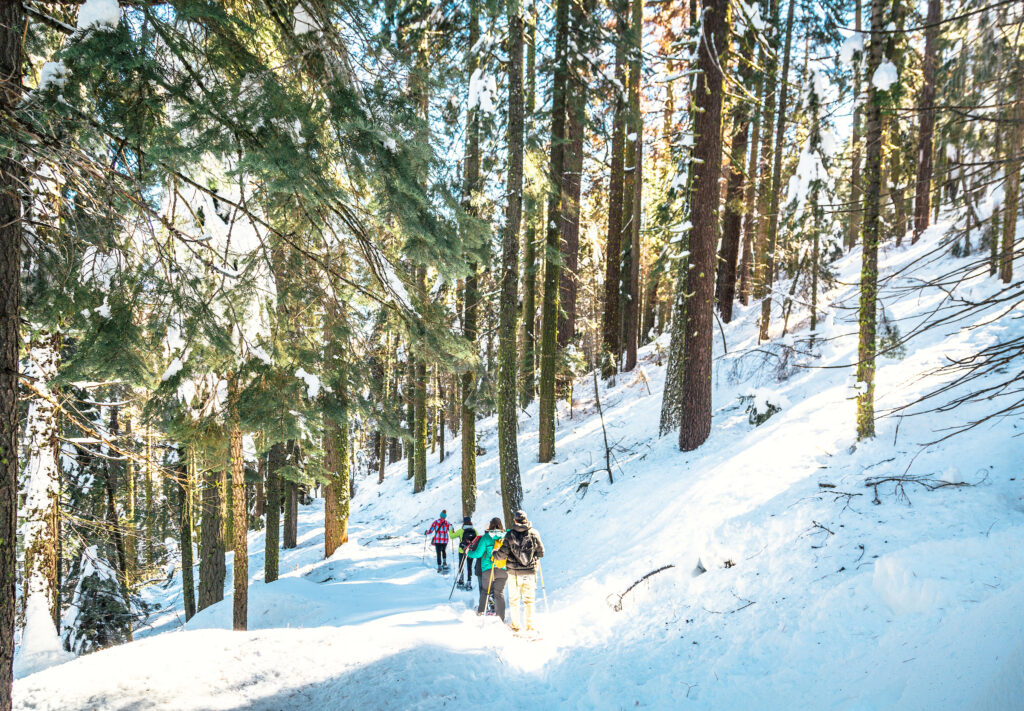 snowshoeing